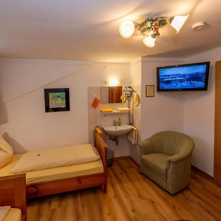 Gaestehaus Haffner 3* Zell am See