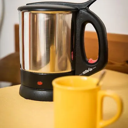 Gasthuis Gaestehaus Haffner Zell am See